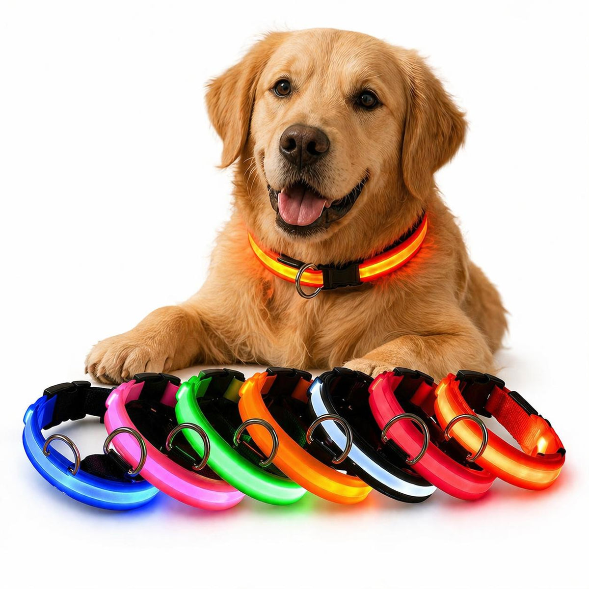 Rechargeable LED Dog Collar – Night Visibility