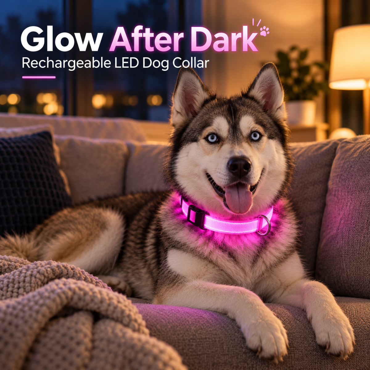 Rechargeable LED Dog Collar – Night Visibility