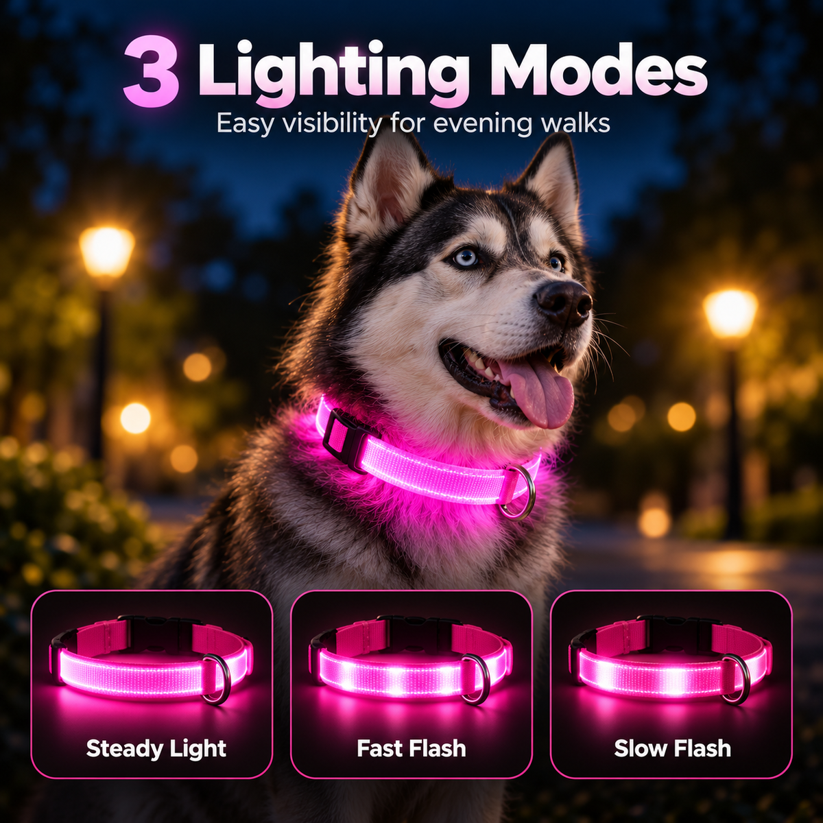 Rechargeable LED Dog Collar – Night Visibility